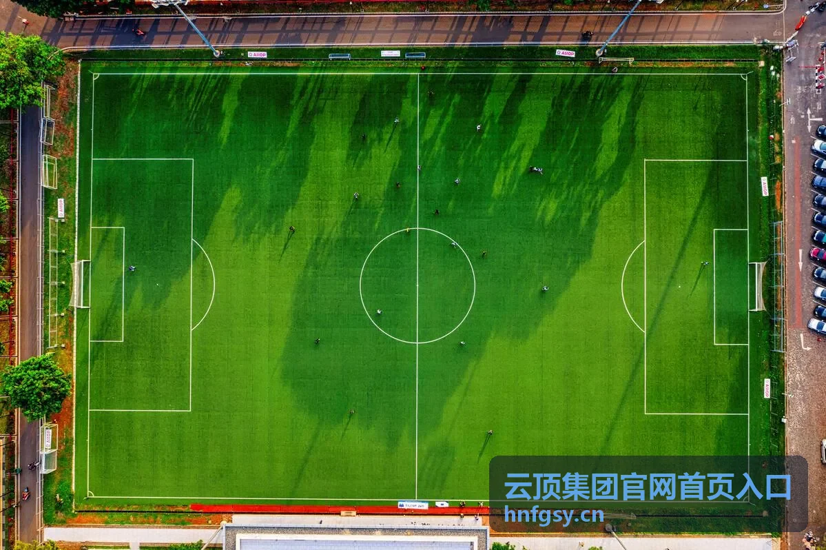 云顶集团官网首页入口日常访问场景