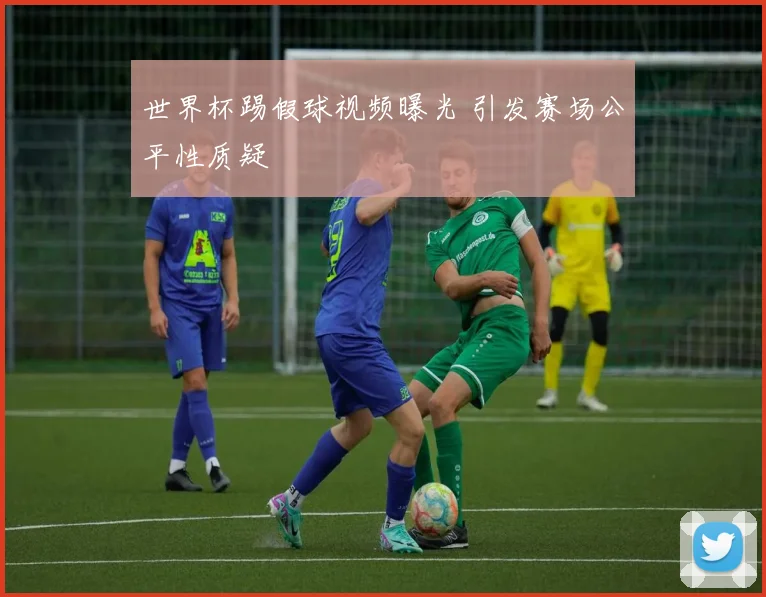 世界杯踢假球视频曝光 引发赛场公平性质疑